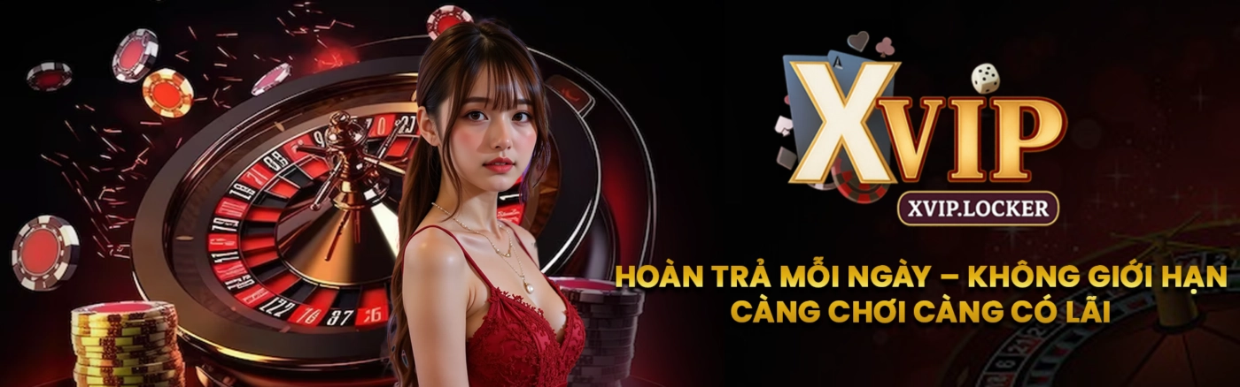 banner xvip